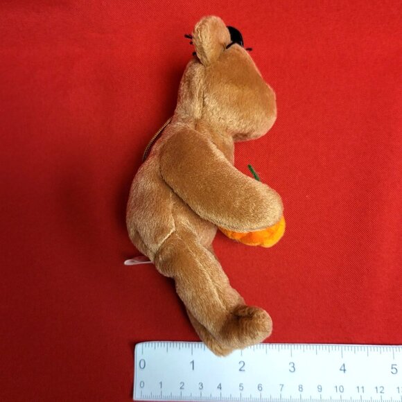 Hocus The Bear Holding Pumpkin Spider on Head 2005 The Halloweenie Beanies Colle - Picture 10 of 12